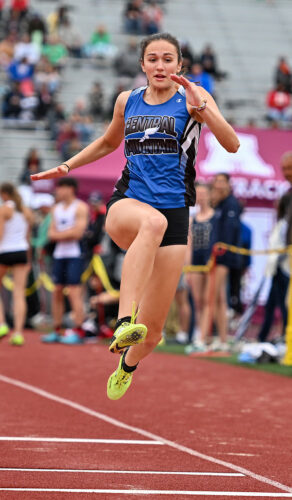 Lillyです Hardy Lily, Asiatic 'Navona' - DeGroot